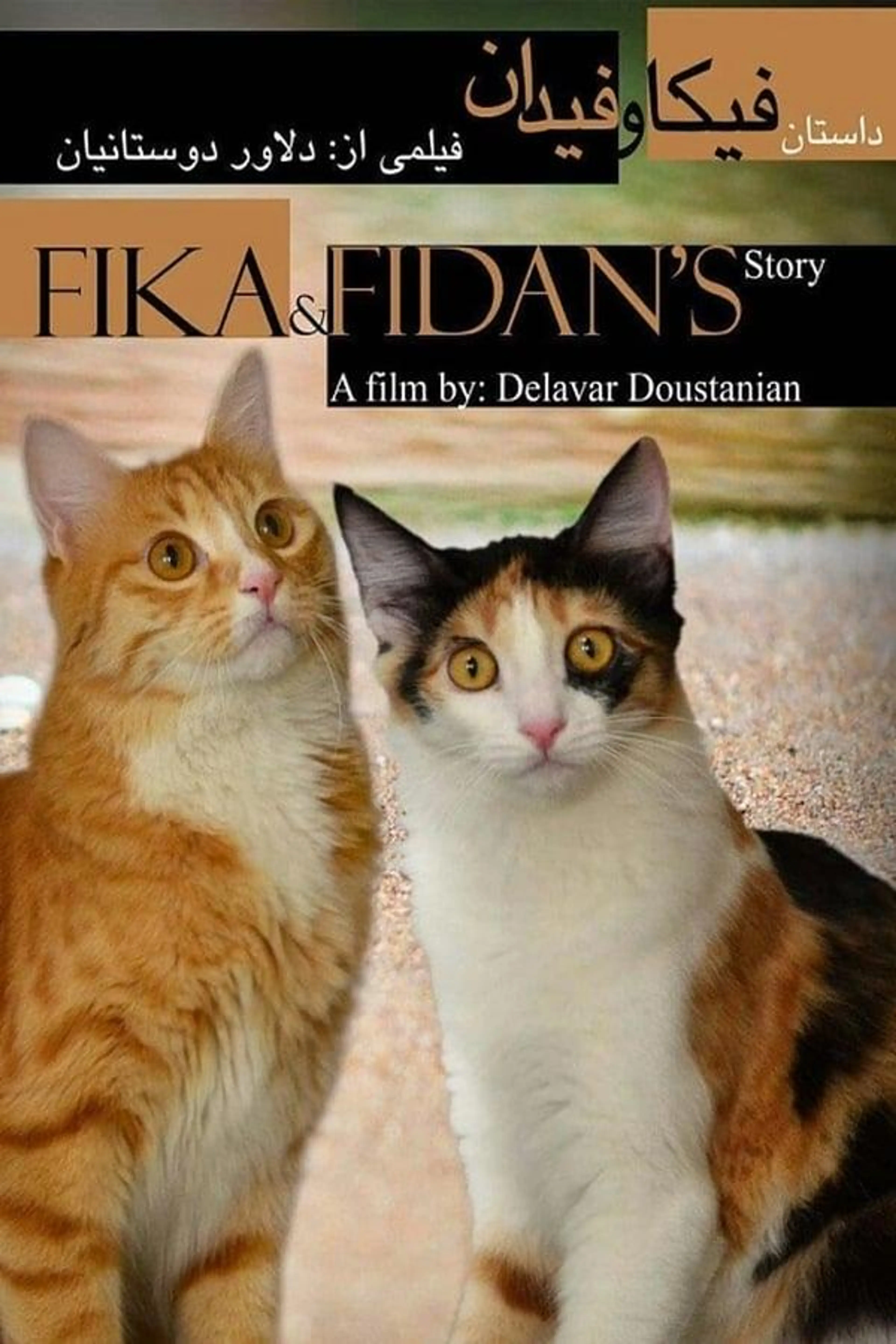 The Story of Fika and Fidan
