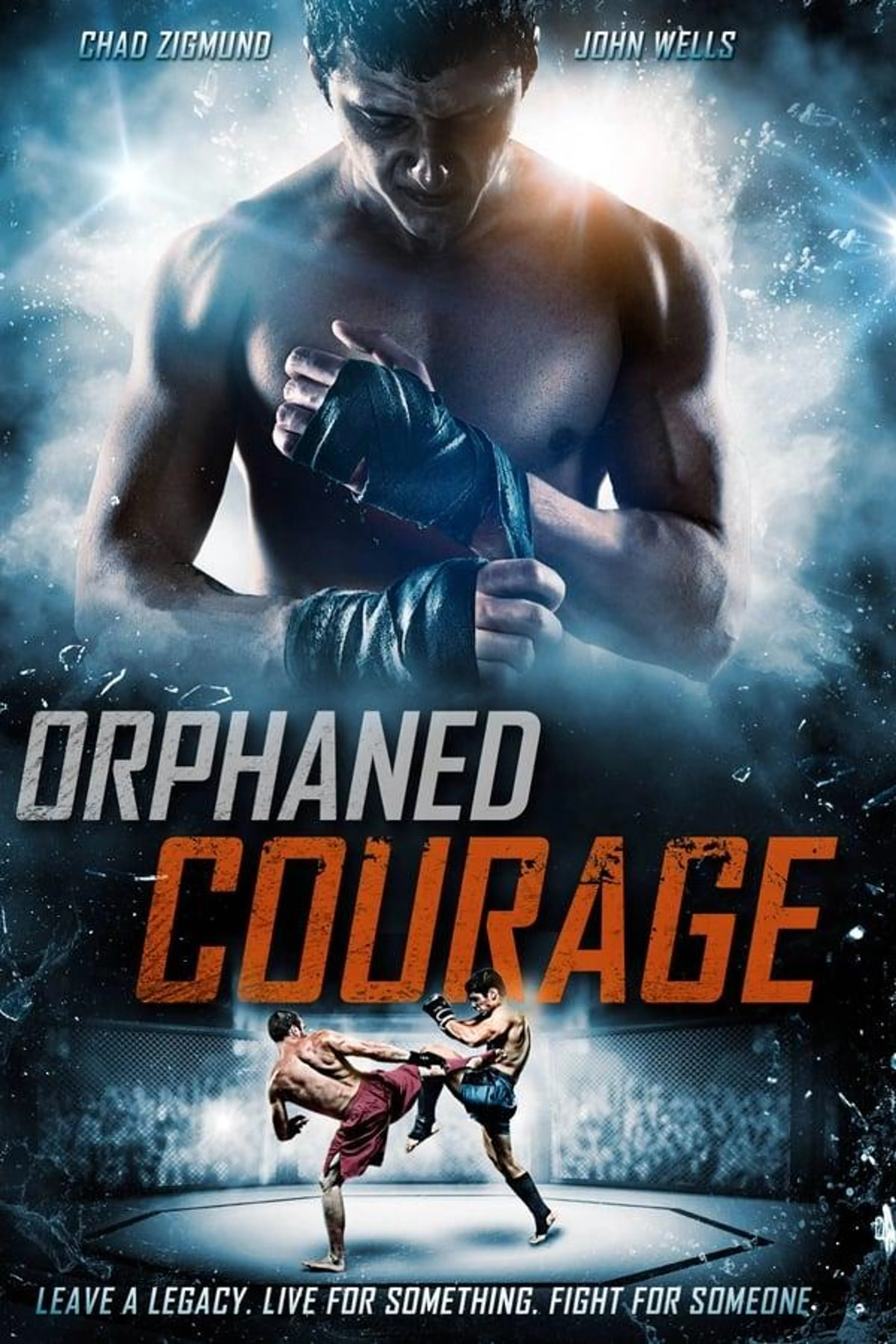 Orphaned Courage