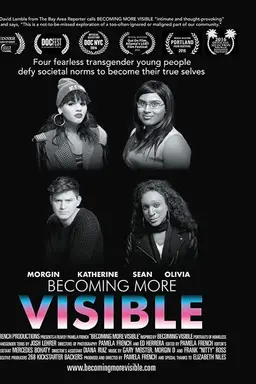 Becoming More Visible
