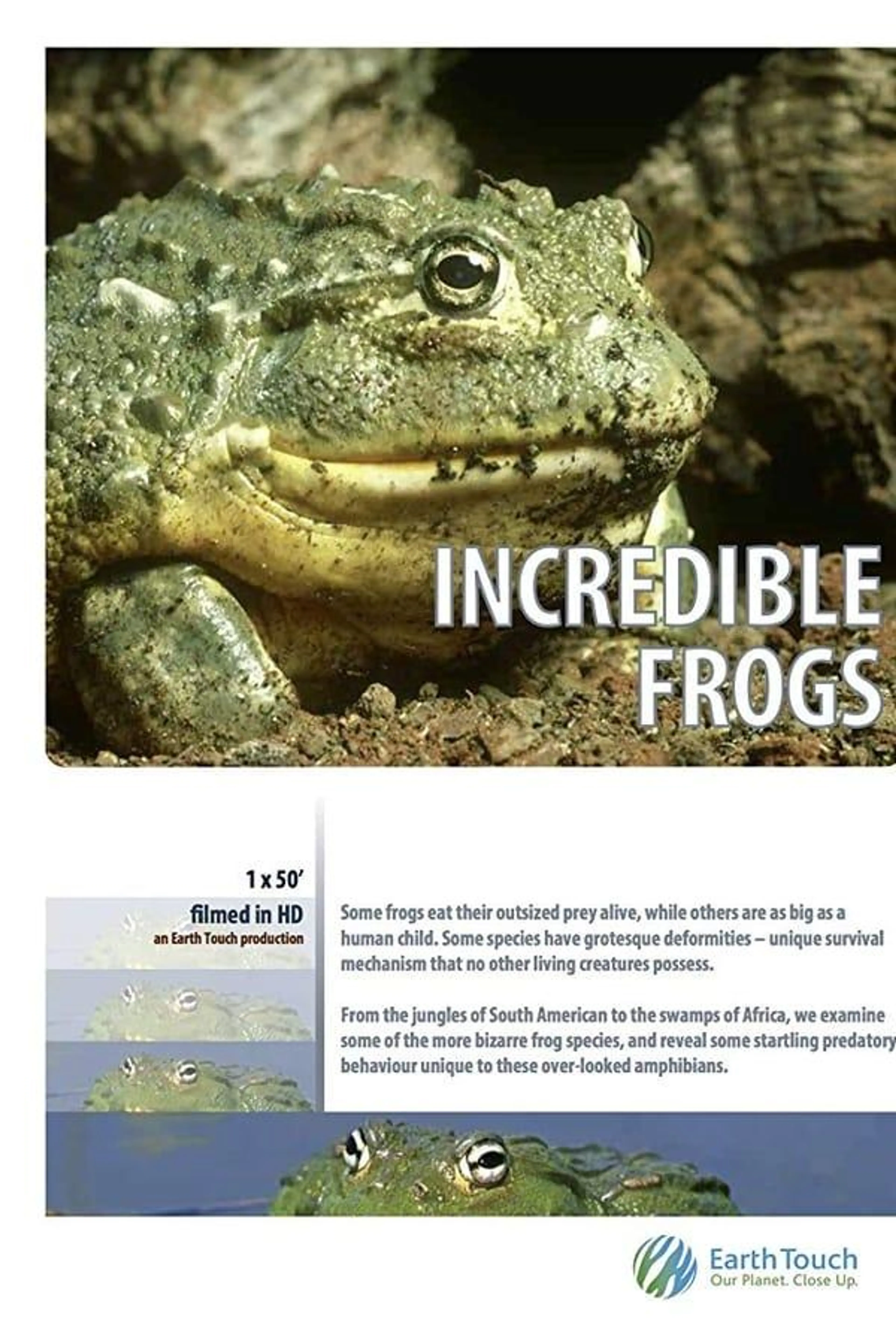 Incredible frogs