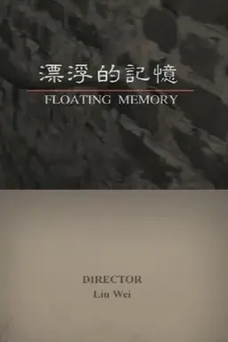 Floating Memory
