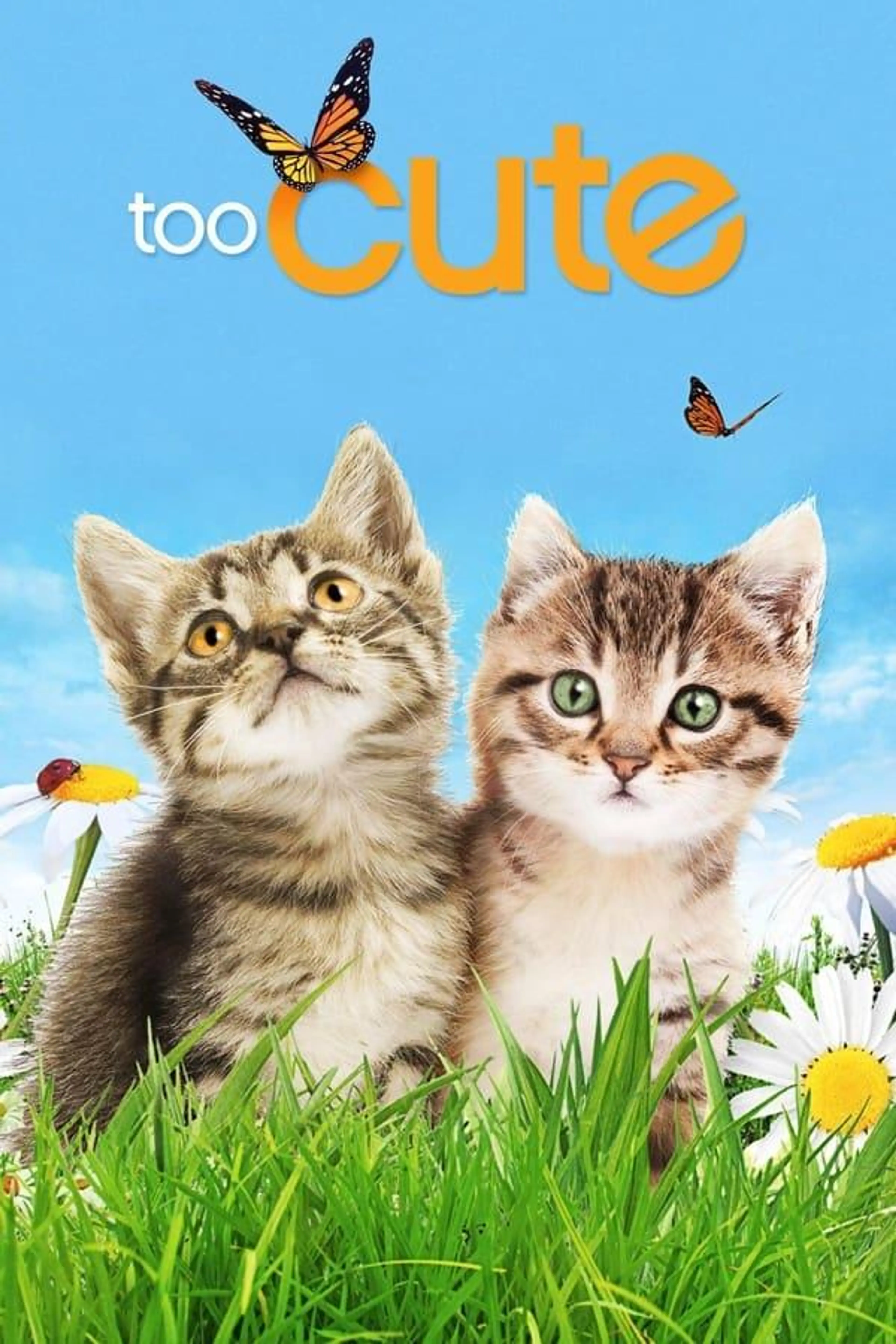Too Cute Season 5