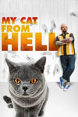 My Cat from Hell Specials