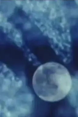 From the Ionosphere