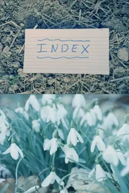 Index