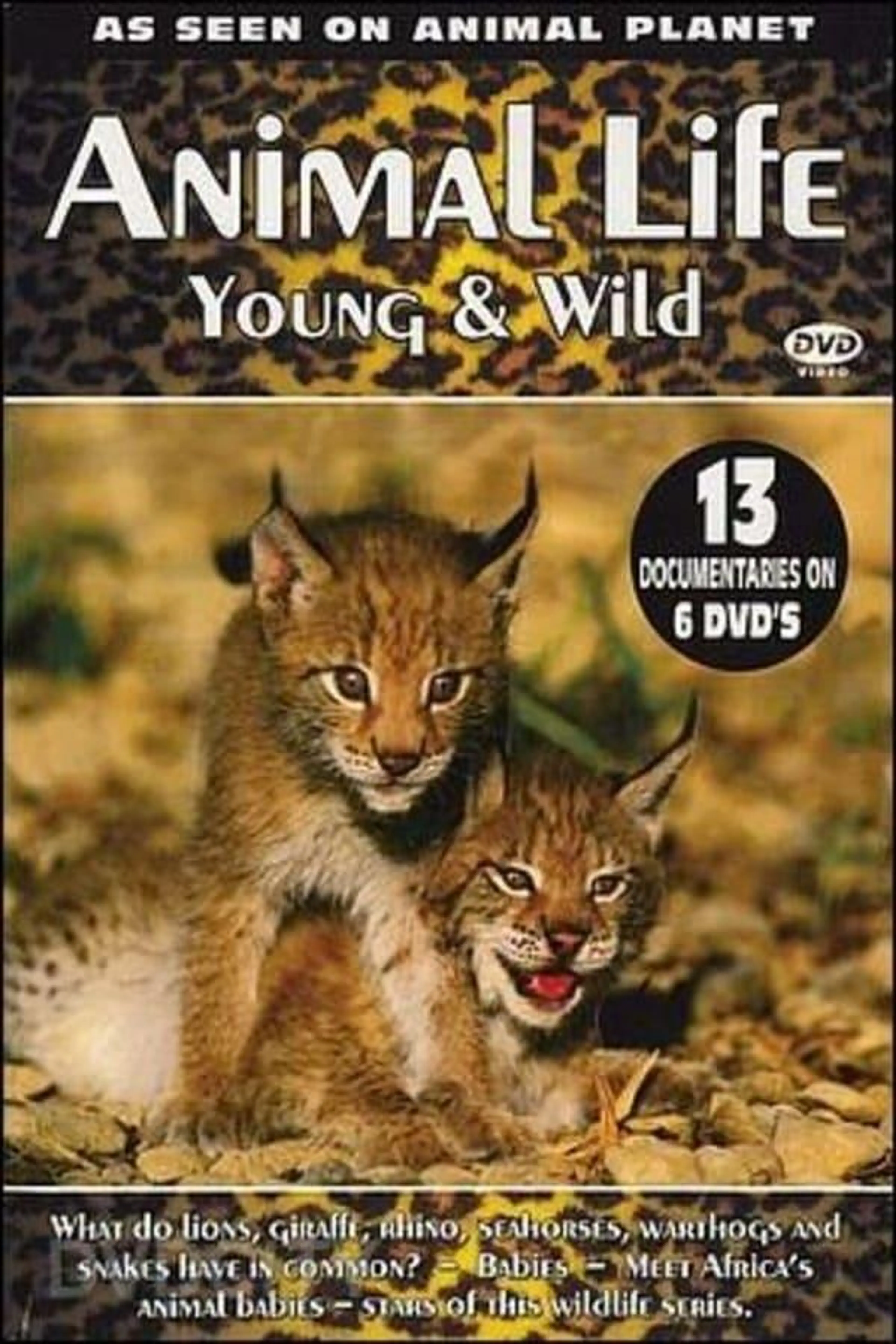Animal Life: Young & Wild Season 1