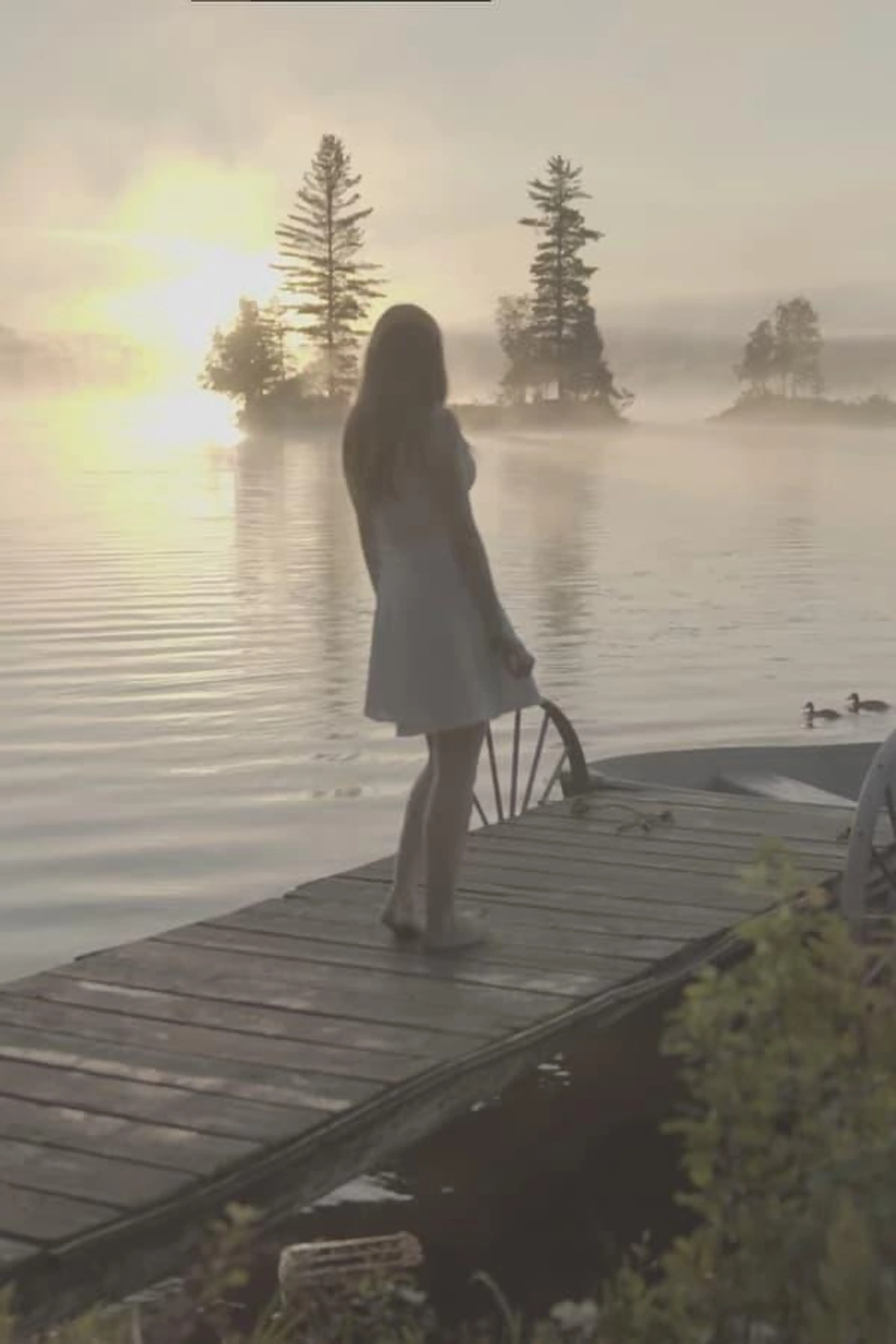 House Among the Trees