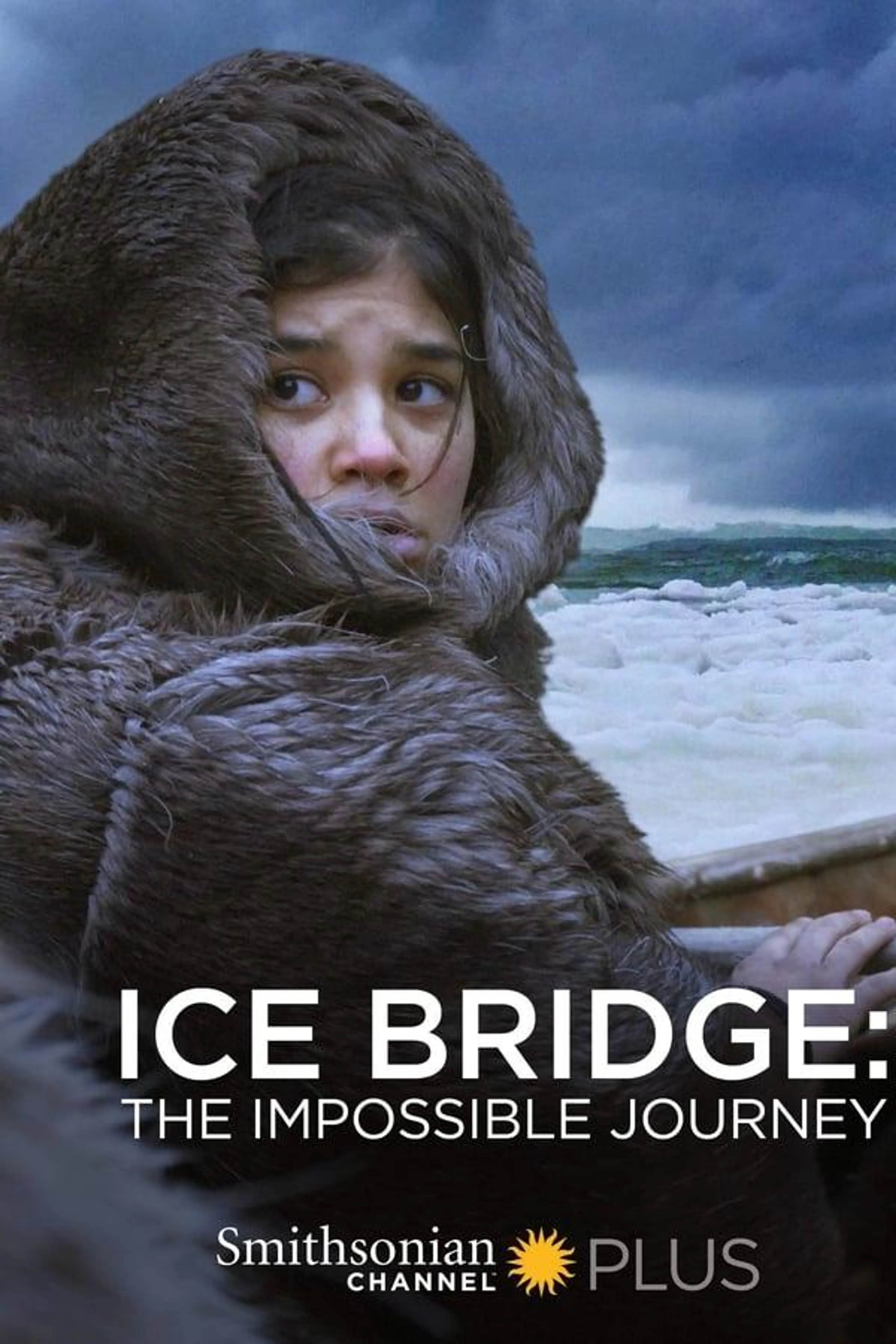 Ice Bridge: The Impossible Journey