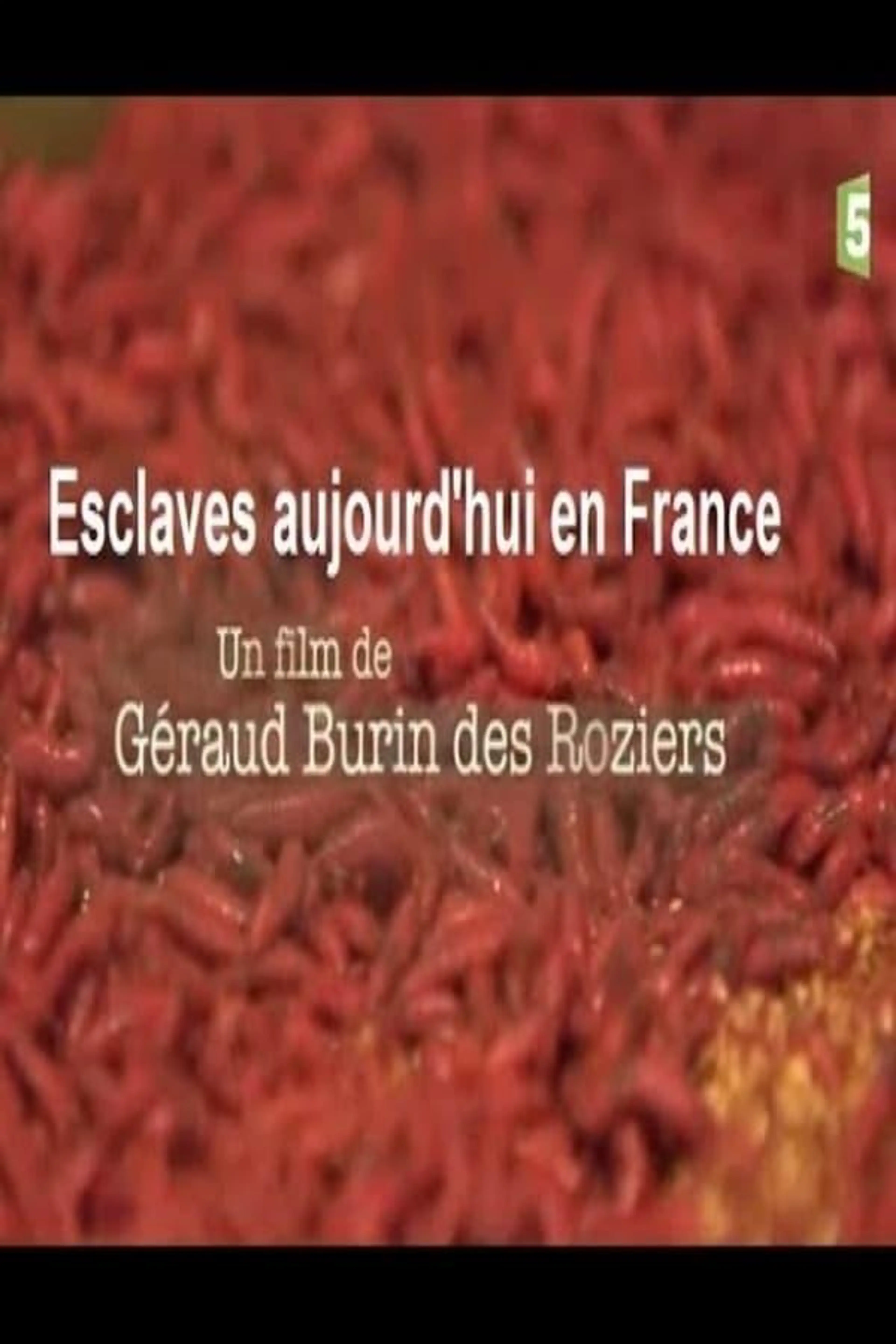 Esclaves aujourd'hui en France