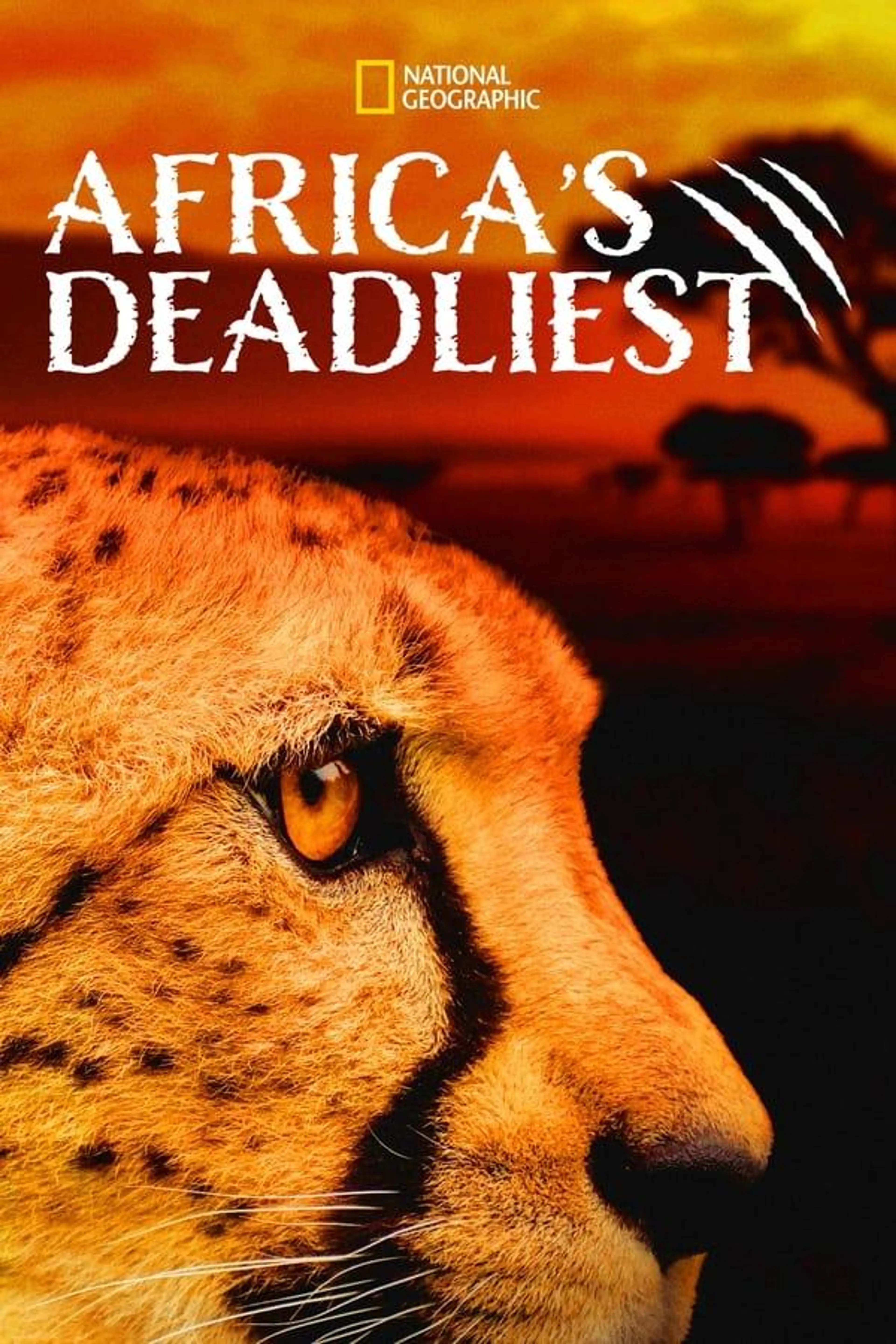 Africa's Deadliest Season 1