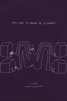 You Used to Bring Me Flowers