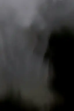 Wings from Somewhere