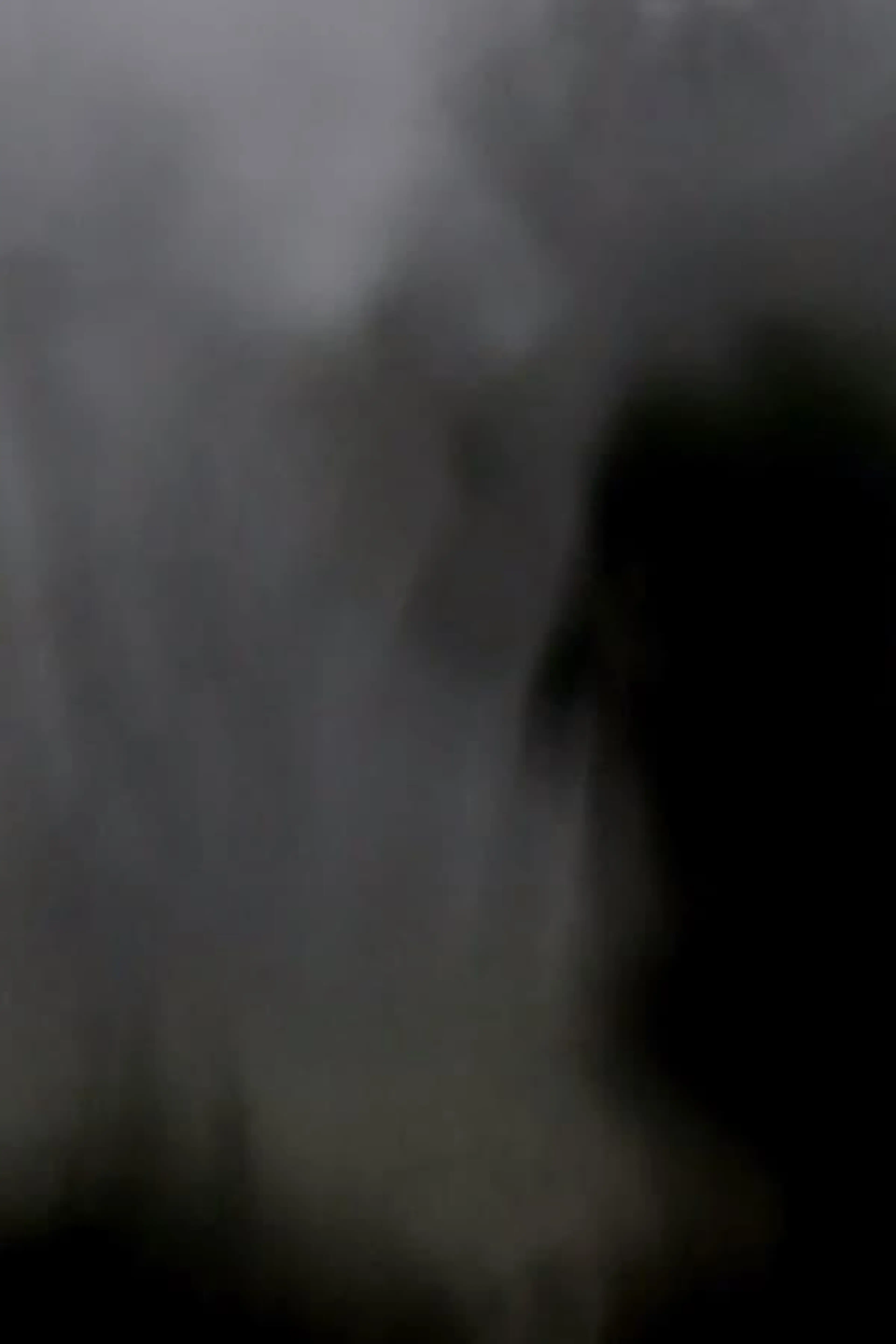 Wings from Somewhere