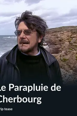 Le parapluie de Cherbourg