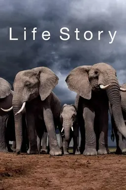 Life Story Specials