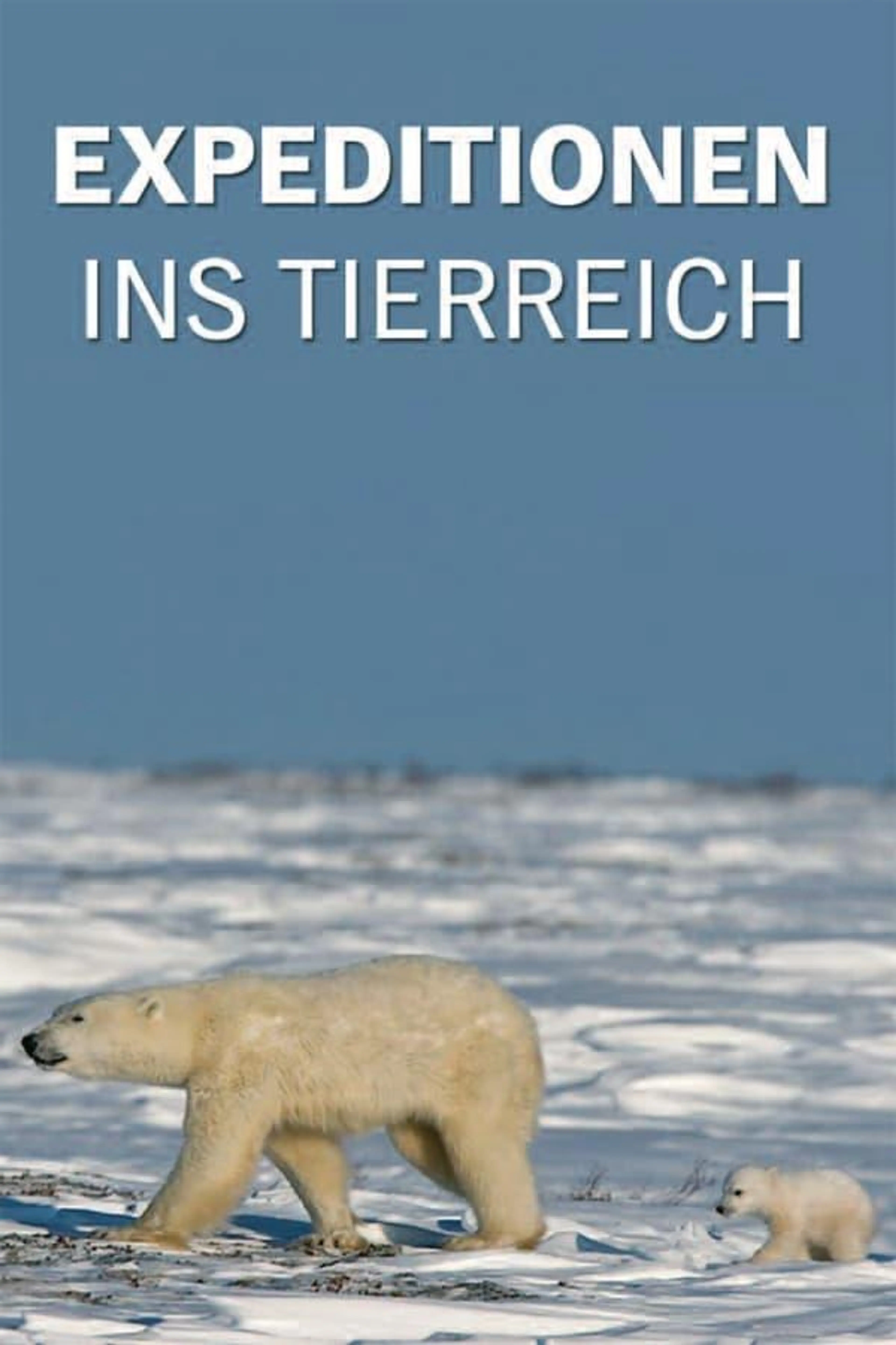 Expeditionen ins Tierreich Season 1