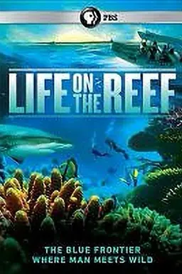 Life on the Reef Season 1