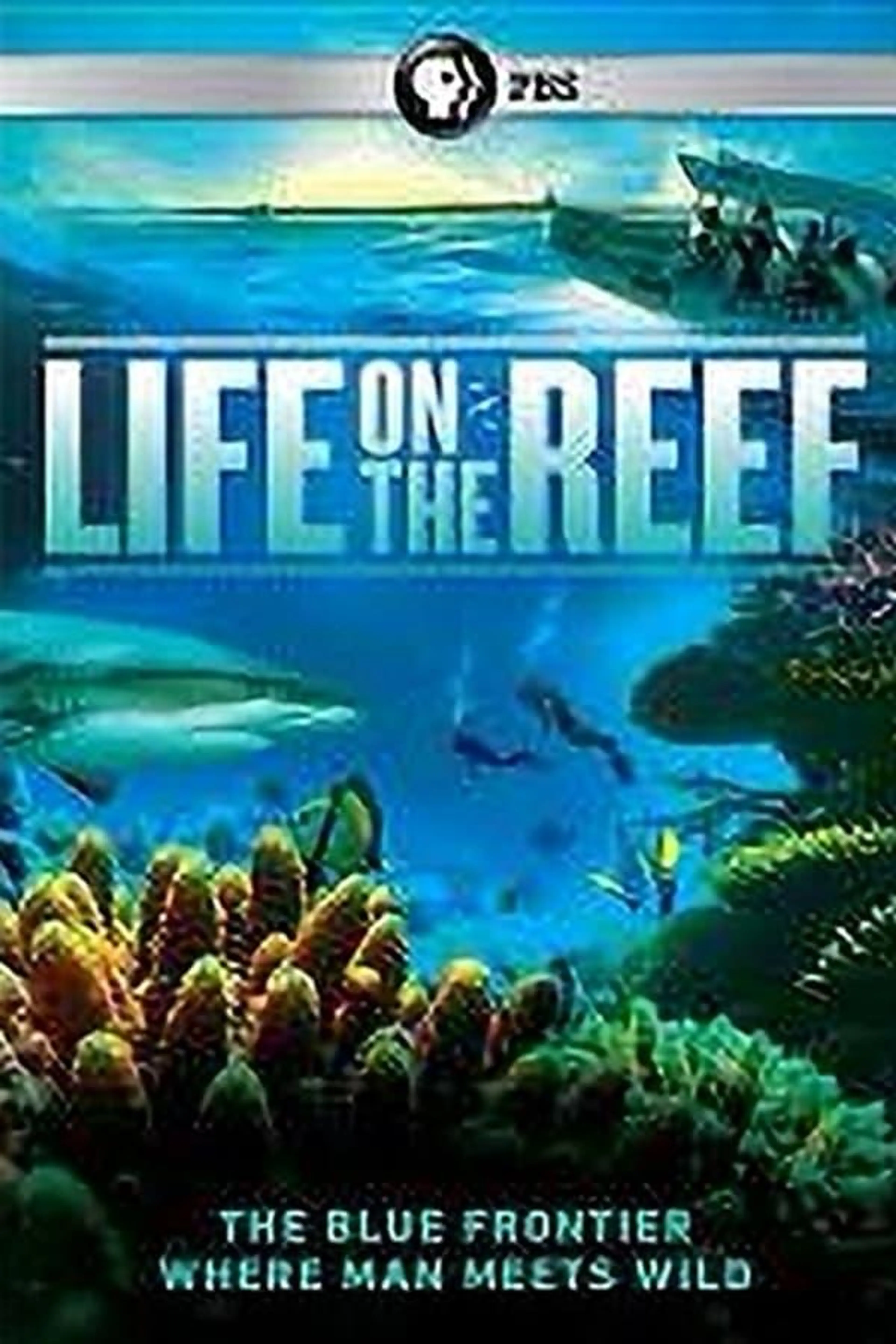 Life on the Reef Season 1