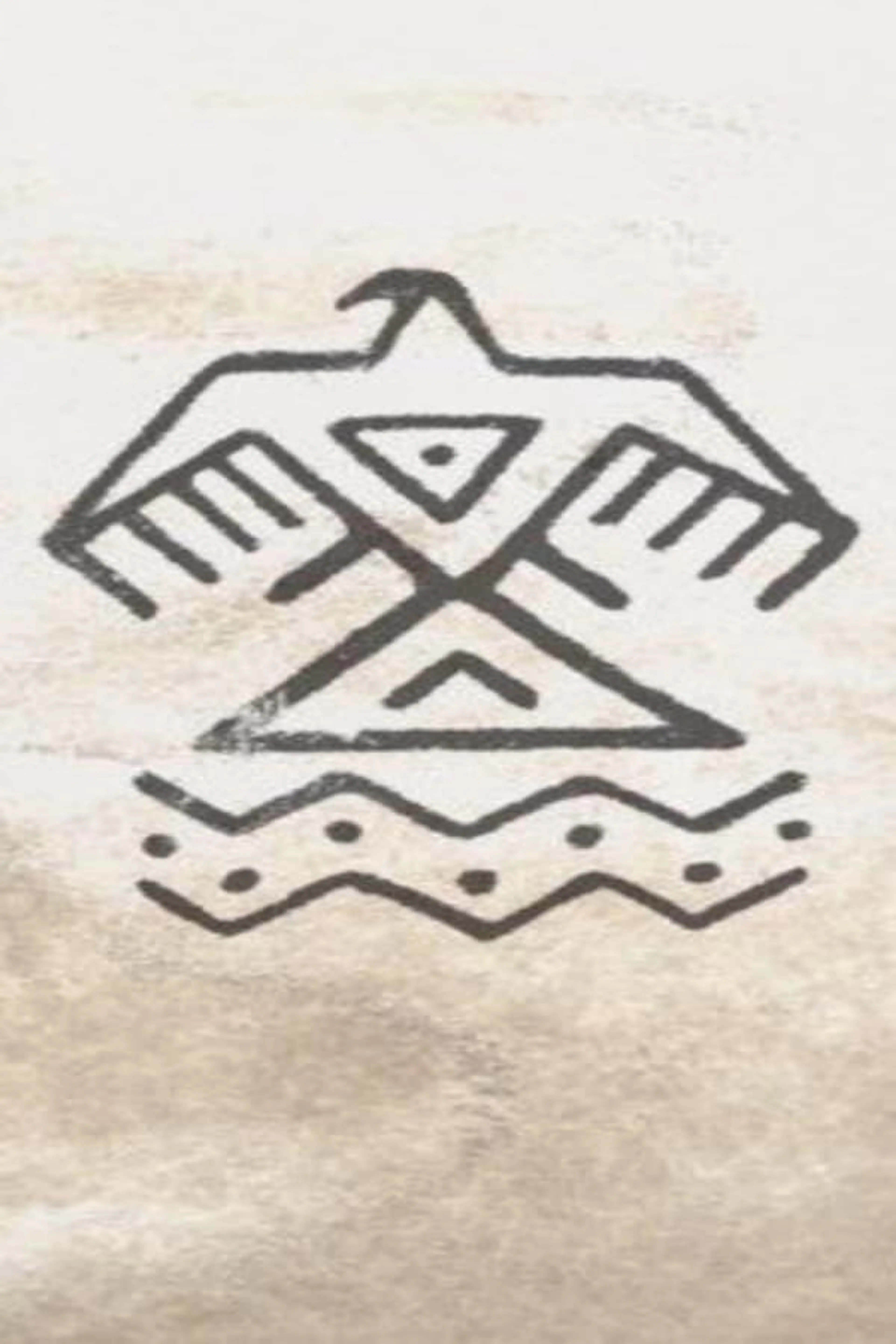 Mni Wiconi: Water is Life