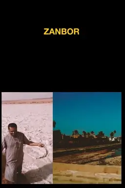 Zanbor