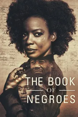 The Book of Negroes Miniseries