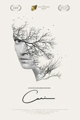 Cari
