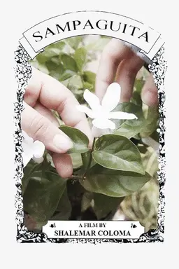 Sampaguita