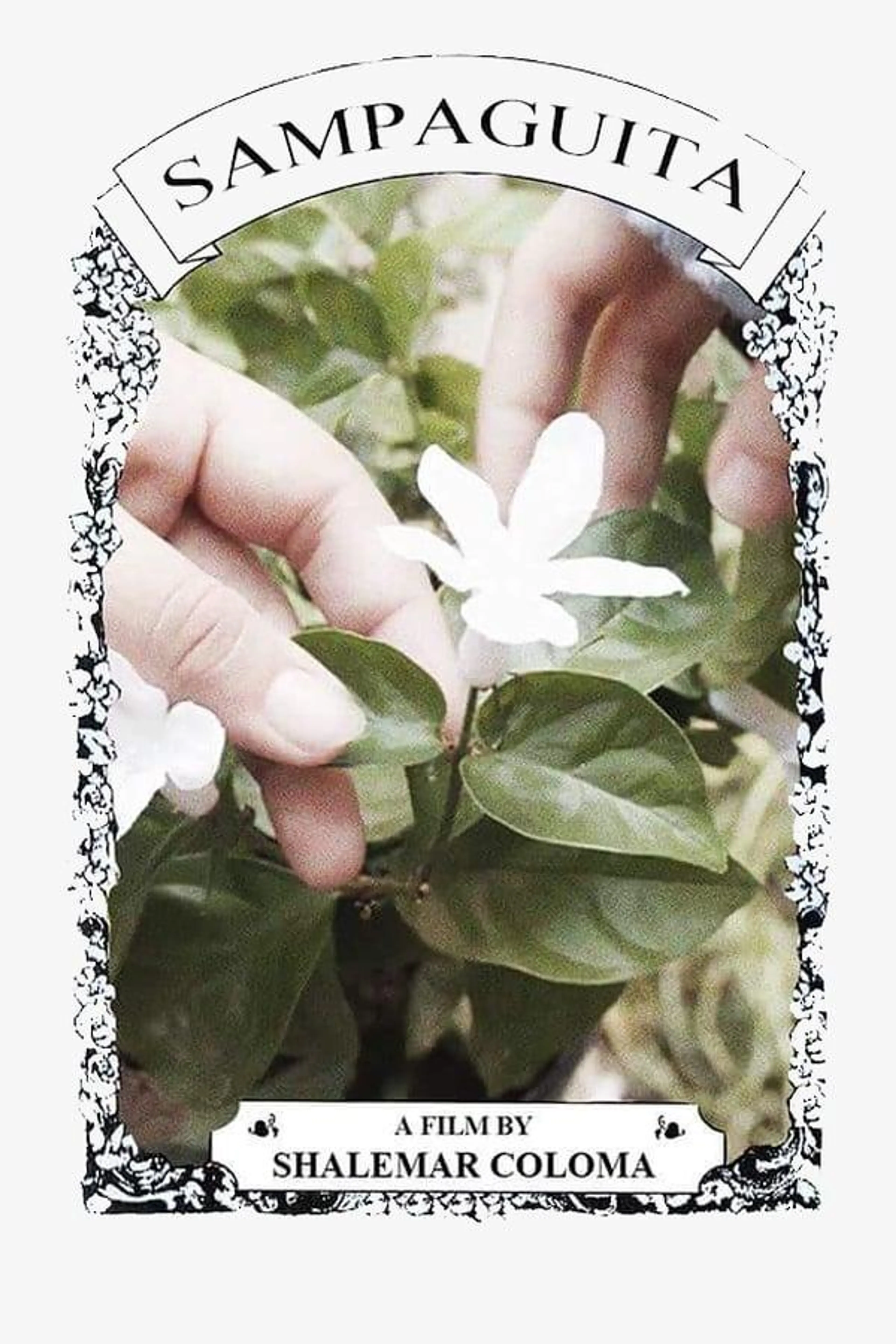 Sampaguita