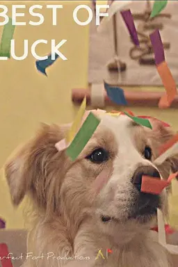 Best of Luck