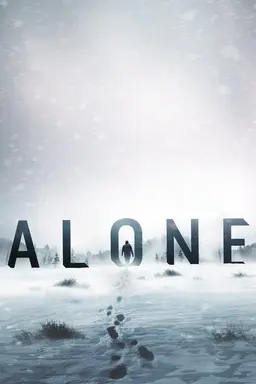 Alone Labrador