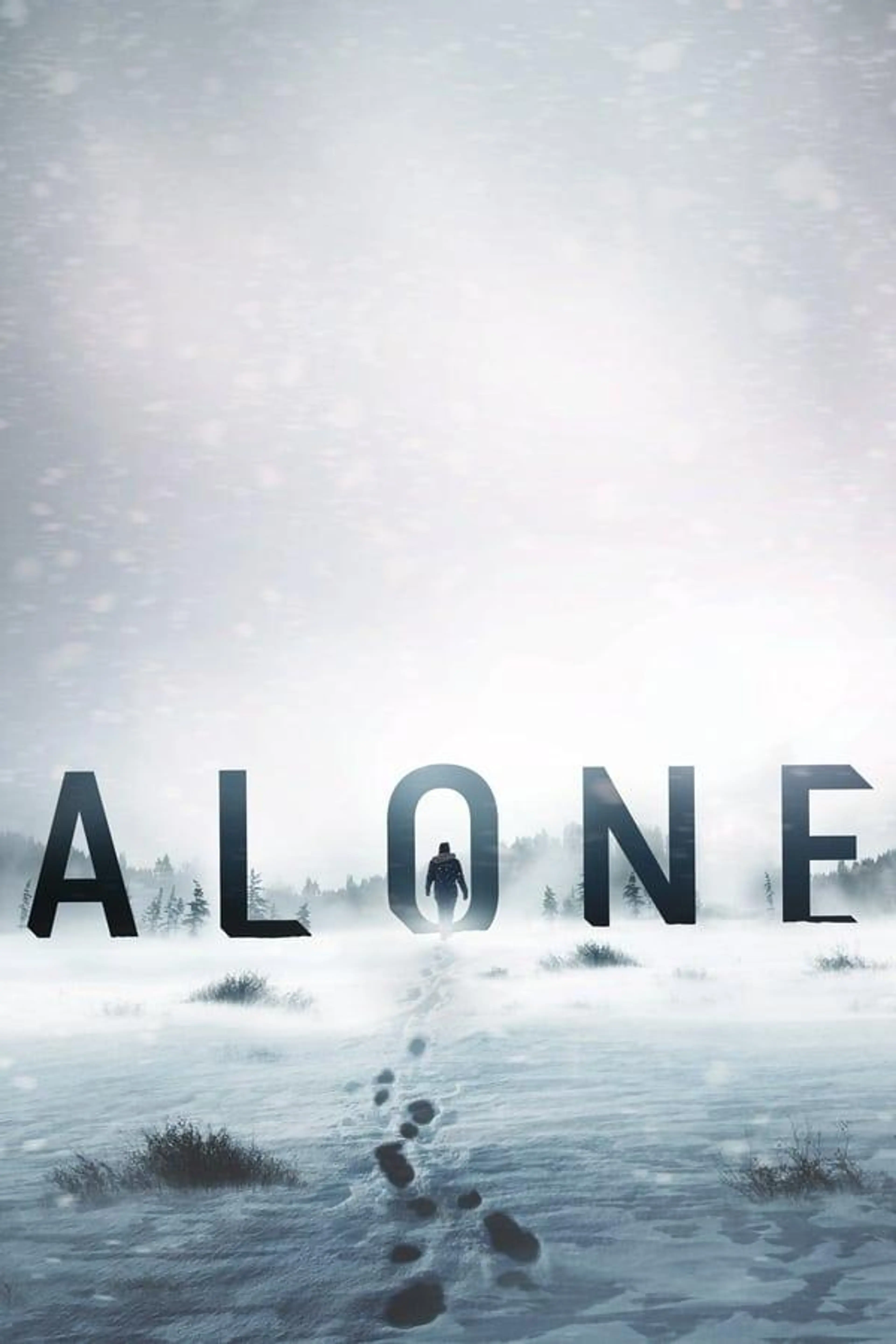 Alone Labrador