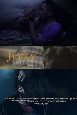 Jerky