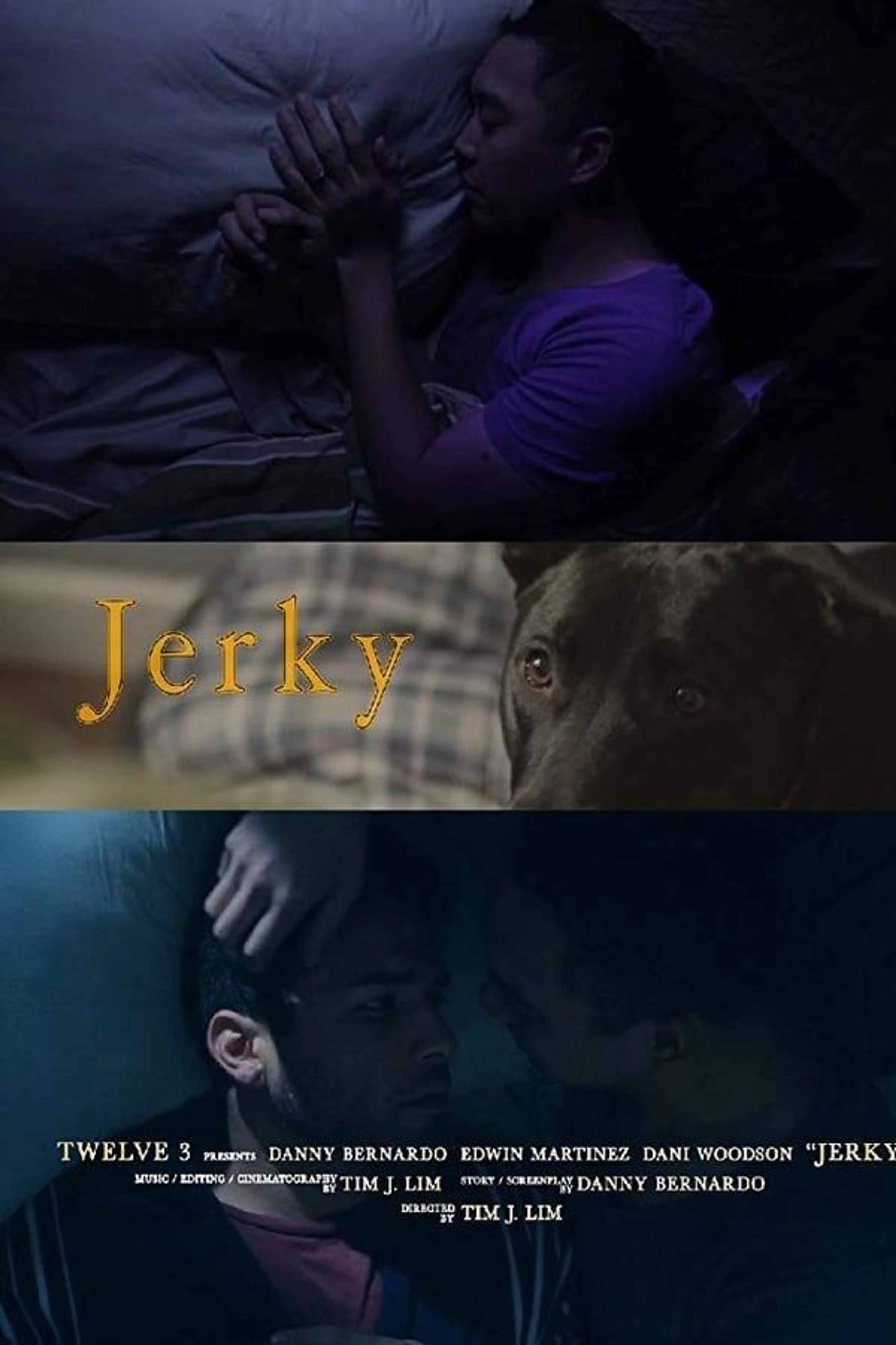 Jerky