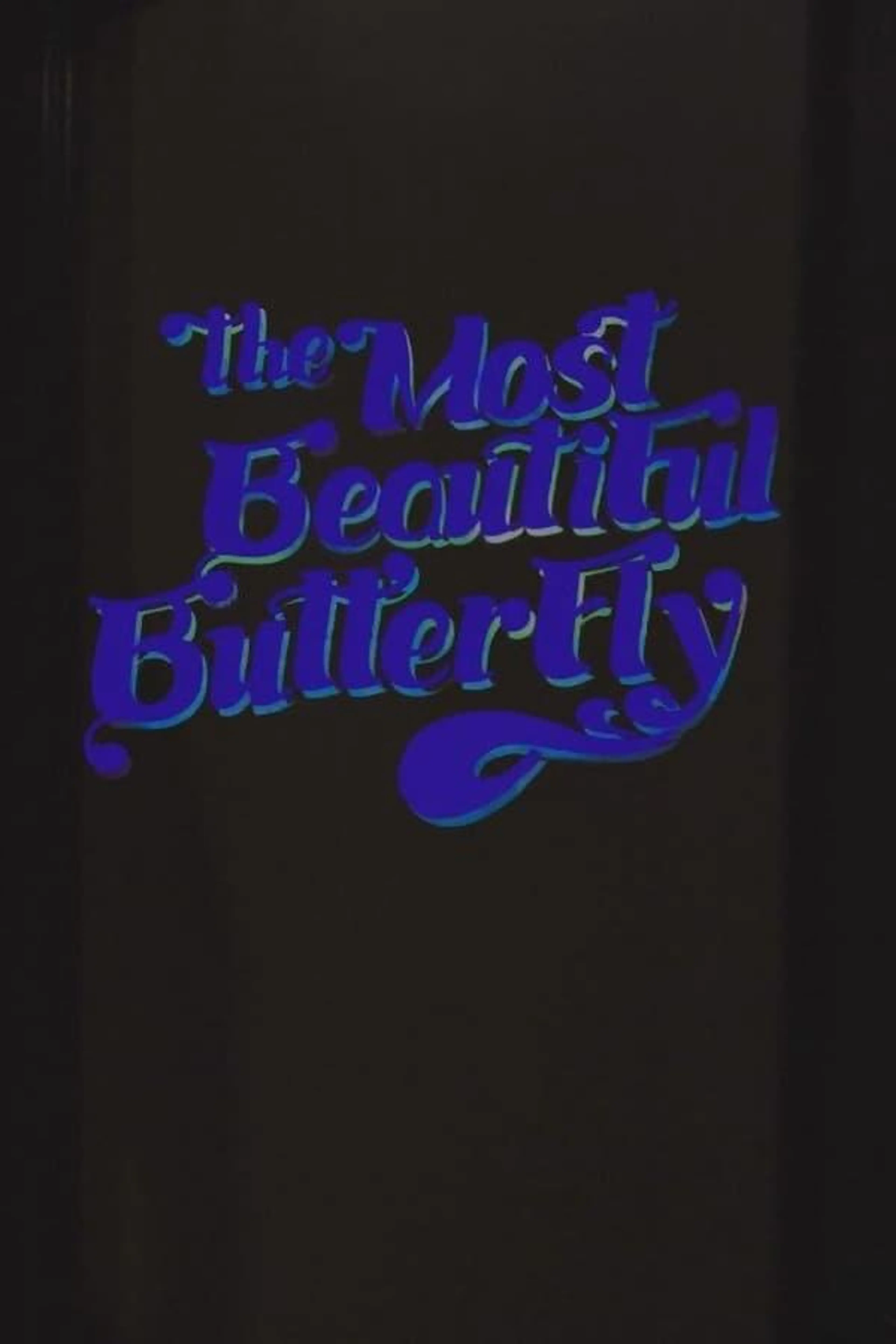 The Most Beautiful Butterfly