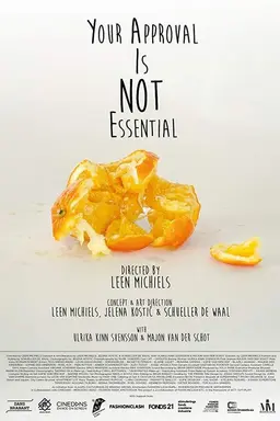 Your Approval is Not Essential