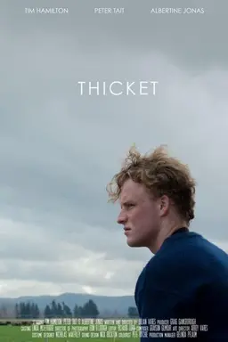 Thicket