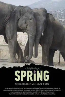 Spring