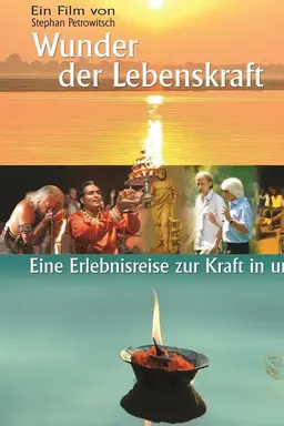 Wunder der Lebenskraft