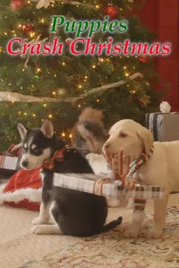 Streaming Wonderland: Puppies Crash Christmas