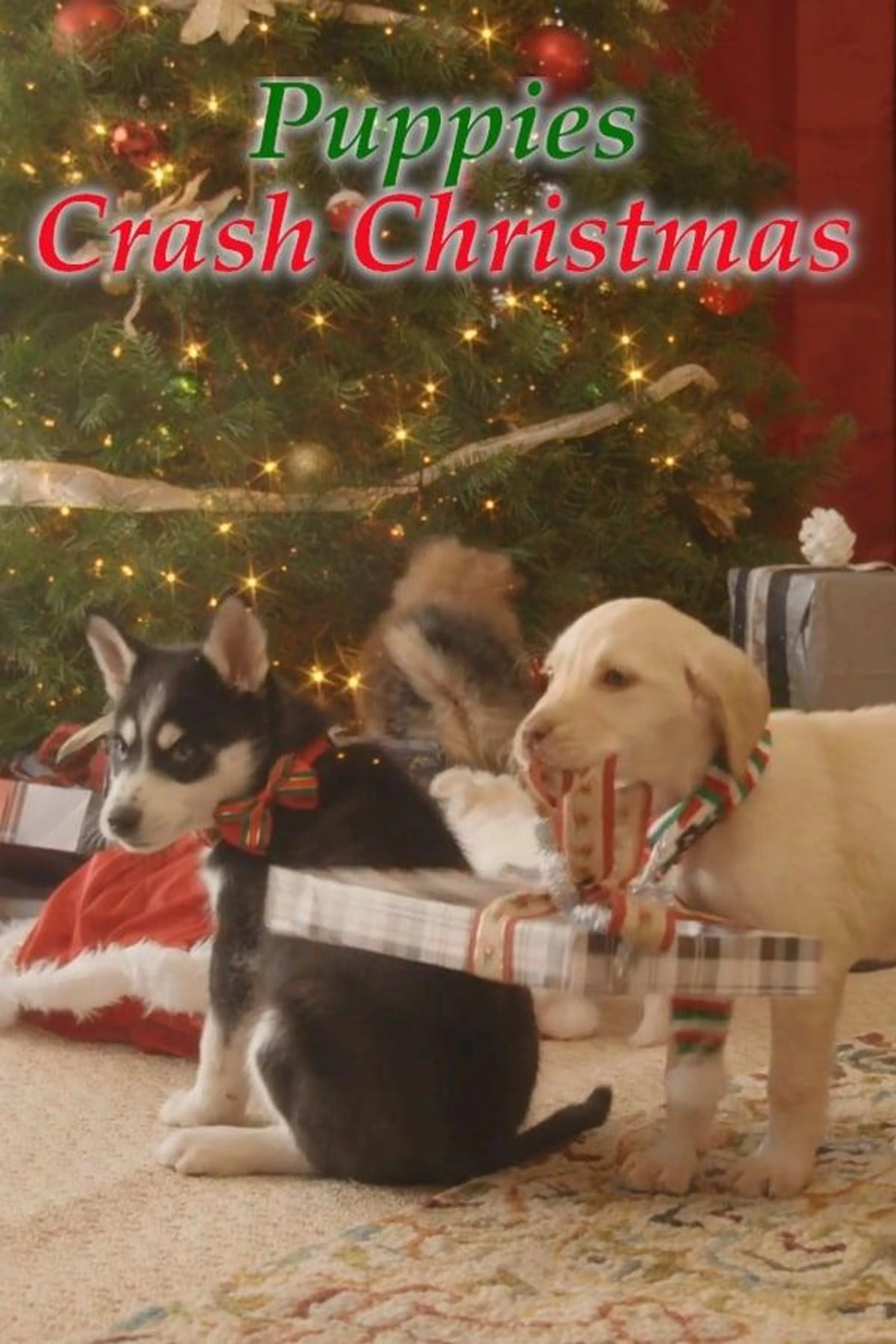 Streaming Wonderland: Puppies Crash Christmas