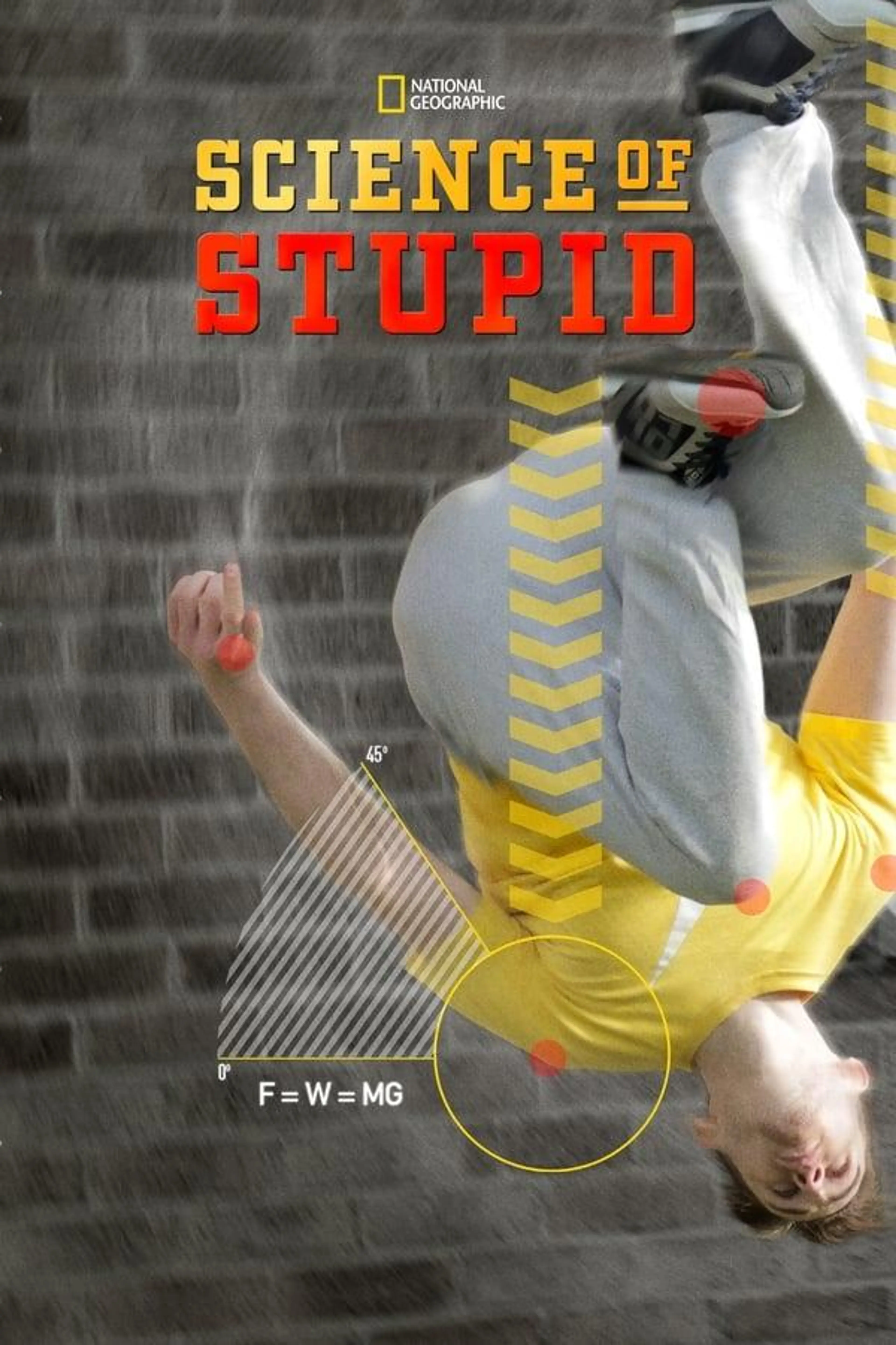 Science of Stupid Specials