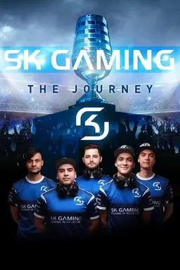 SK Gaming: The Journey