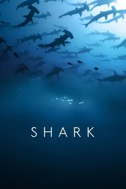 Shark Miniseries