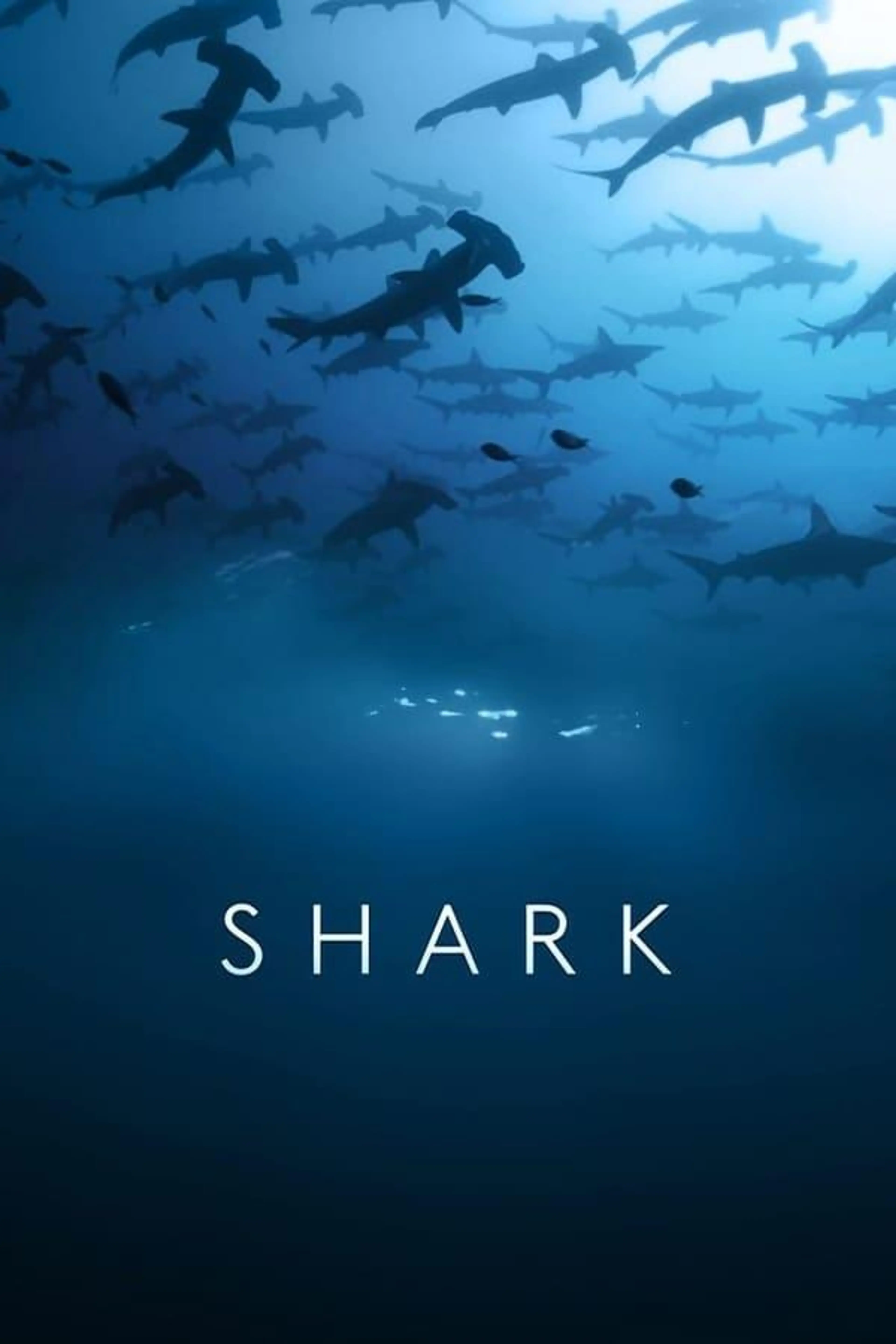 Shark Miniseries