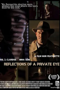 Reflections of a Private Eye