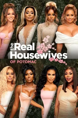 The Real Housewives of Potomac Specials