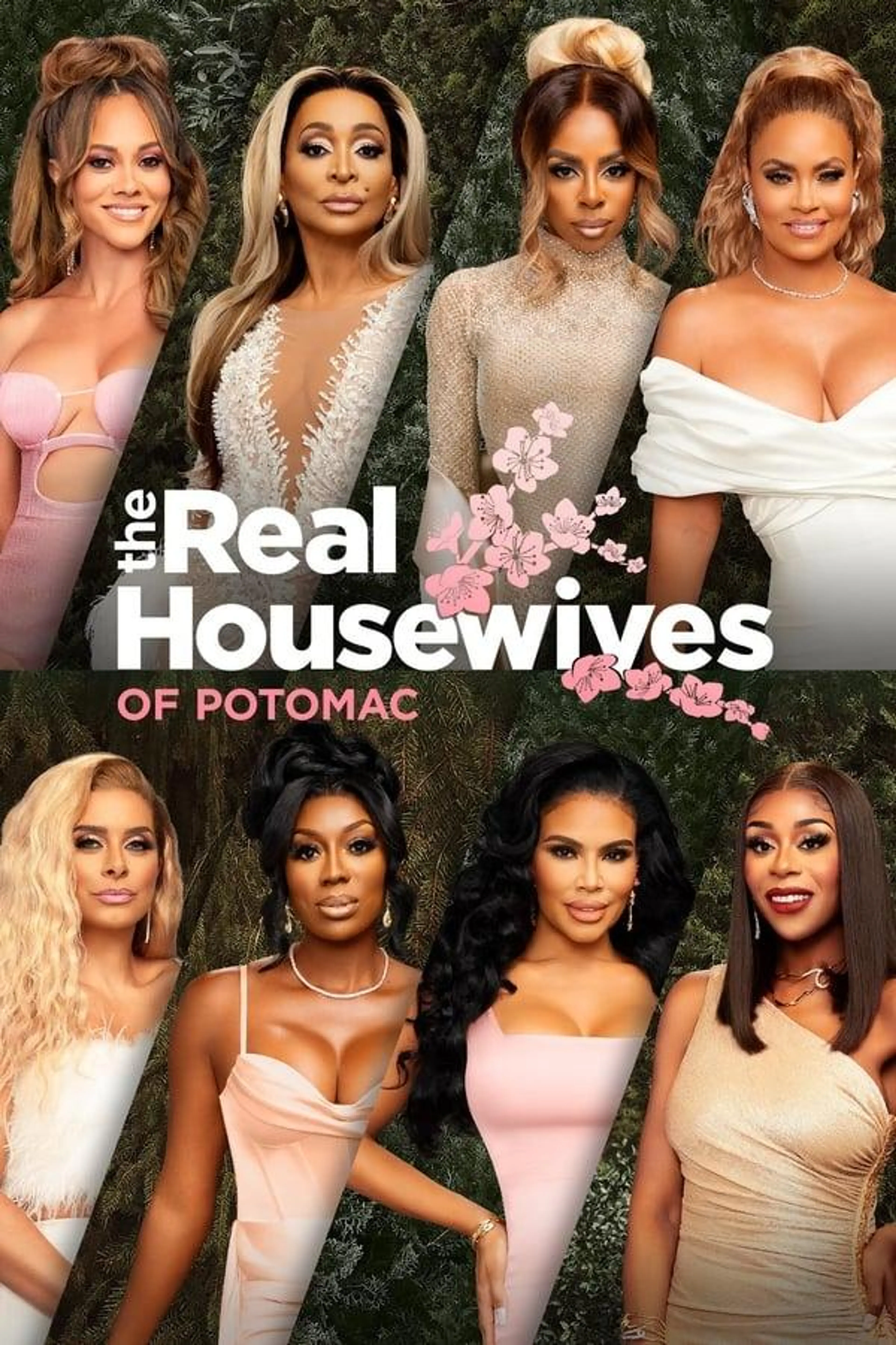 The Real Housewives of Potomac Specials