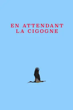Waiting For The Stork