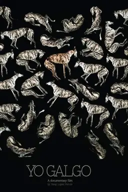 Yo Galgo