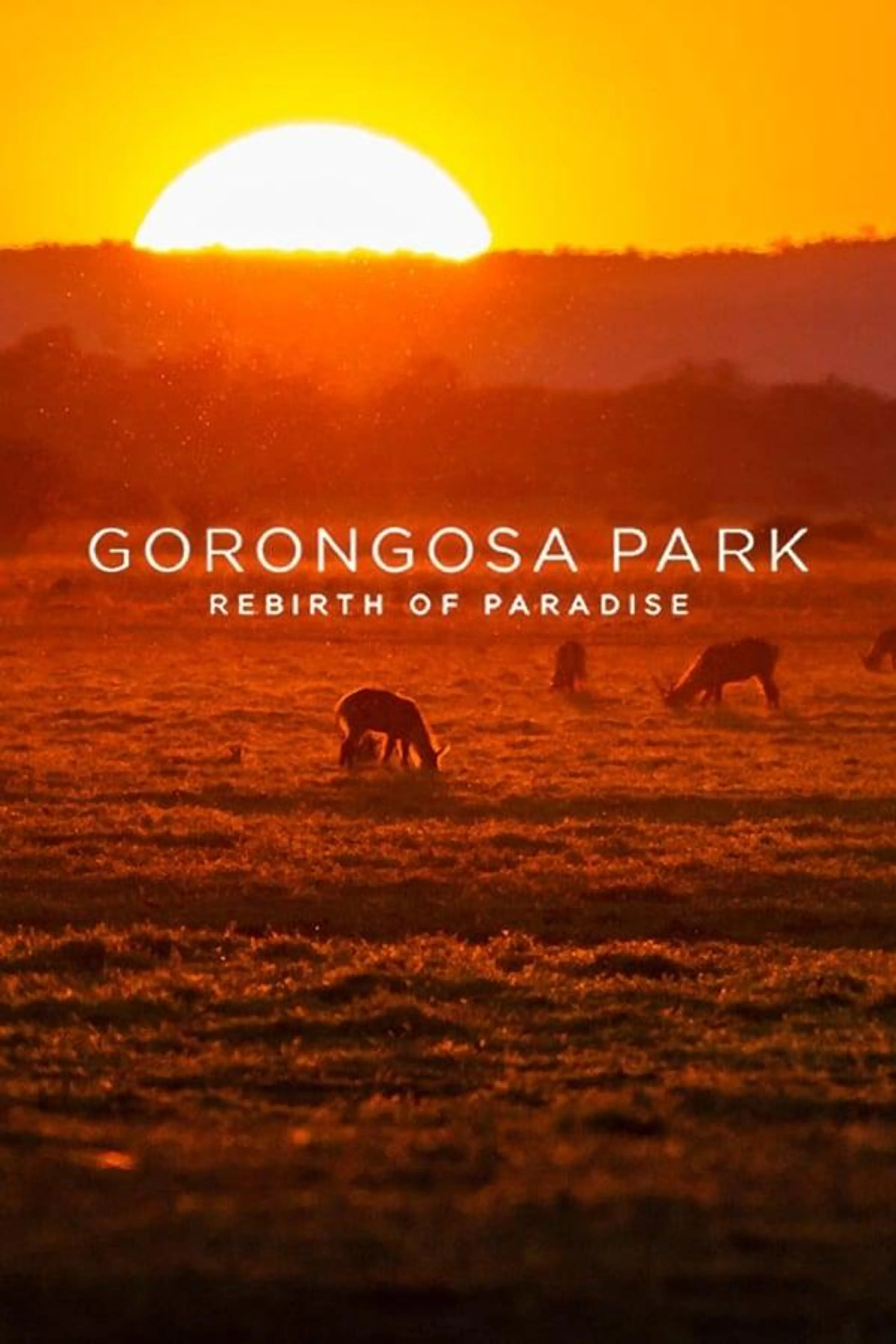 Gorongosa Park: Rebirth of Paradise Season 1